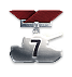 For 7 years of service