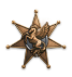 Bronze Pegasus