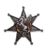 Iron Pegasus