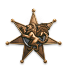 Bronze Manticore